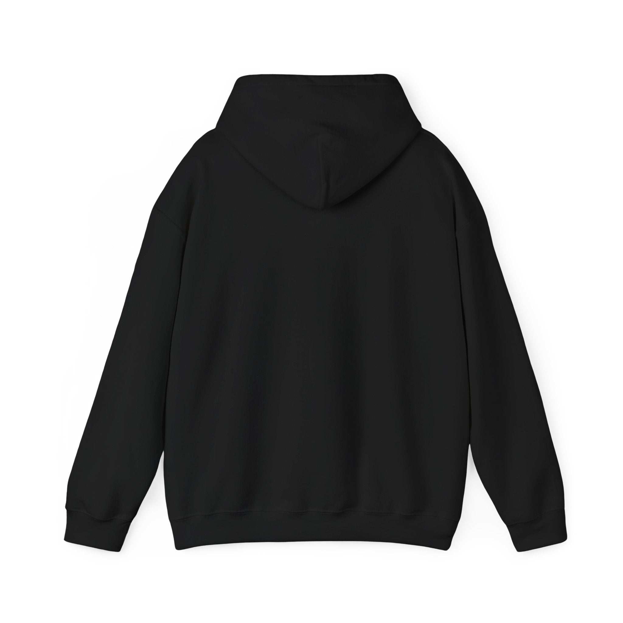 CCHS GIldan Heavy Blend™ Hooded Sweatshirt