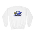 COSBY Youth Crewneck Gildan  Sweatshirt